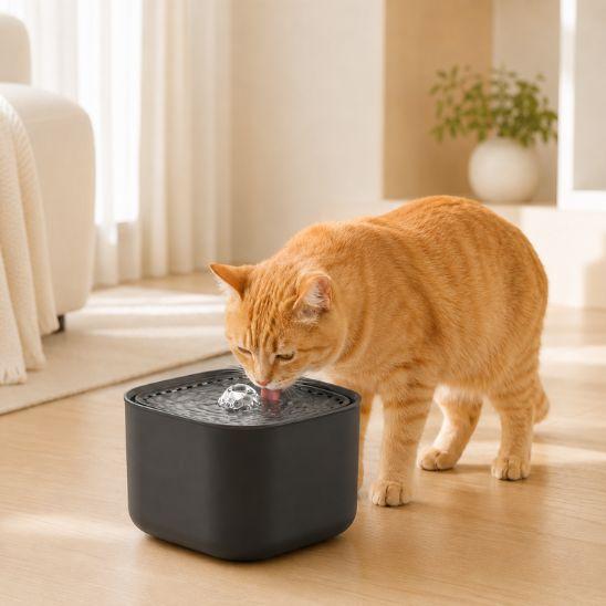 Fontaine a eau chat silencieuse 3 litres noire avec chat roux