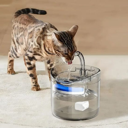 fontaine à eau chat transparente