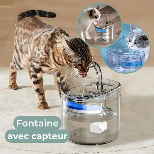 fontaine à eau chat transparente