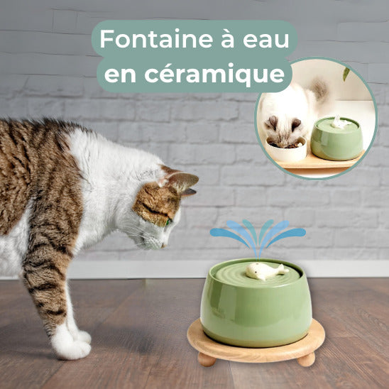 fontaine-a-eau-chat-vert-céramique