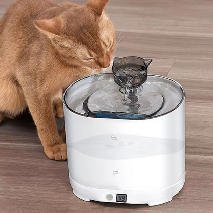 fontaine a eau chat calme automatique