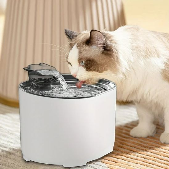 fontaine a eau chat blanc pur