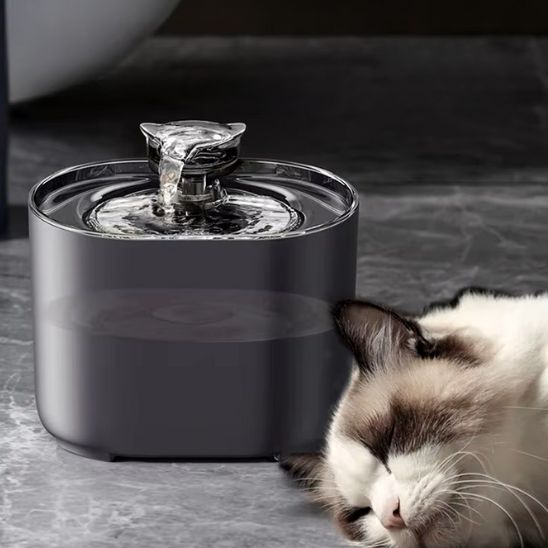 fontaine a eau chat calme silencieuse