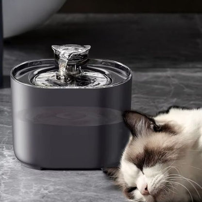 fontaine a eau chat calme silencieuse
