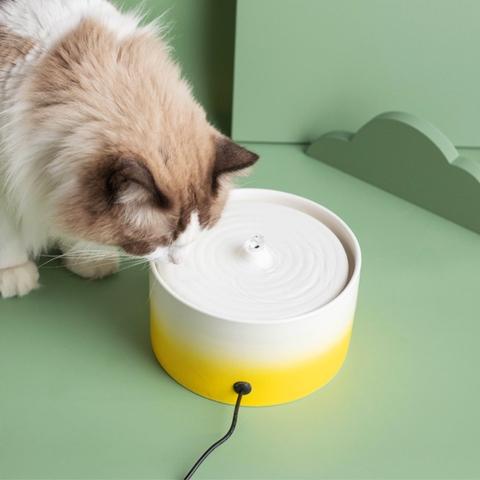 Fontaine a eau pour chat ceramique accès 360° pour plusieurs chats