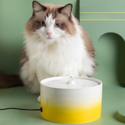 Fontaine a eau pour chat ceramique accès 360° pour plusieurs chats