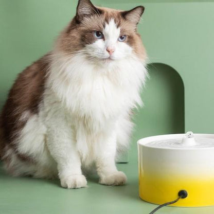 Fontaine a eau pour chat ceramique accès 360° pour plusieurs chats