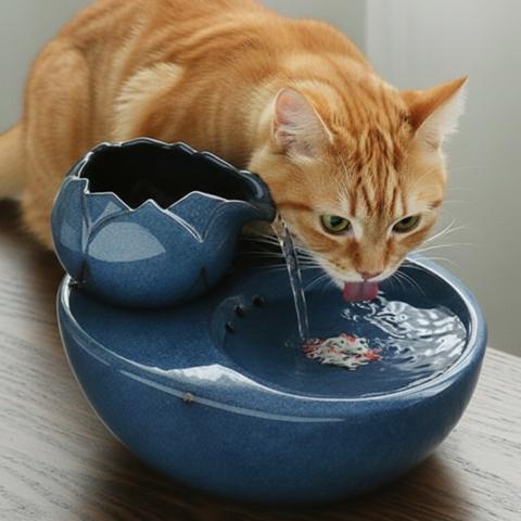 Chat buvant à la fontaine a eau pour chat ceramique