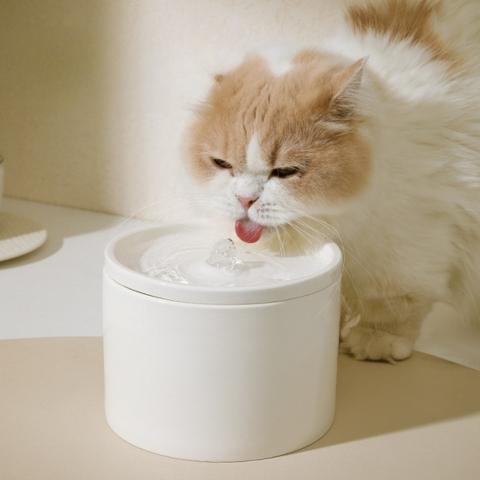 Fontaine a eau pour chat ceramique hydratation pure