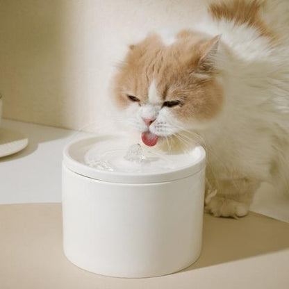 Fontaine a eau pour chat ceramique hydratation pure