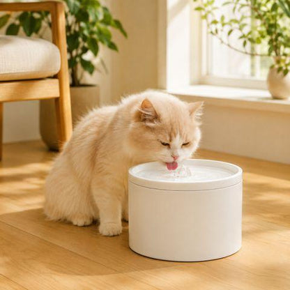 Fontaine à eau pour chat céramique hydratation pure