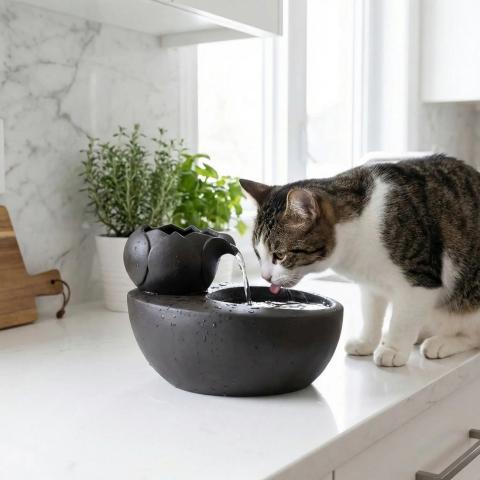 Fontaine a eau pour chat ceramique noire Perle d’Eau Féline