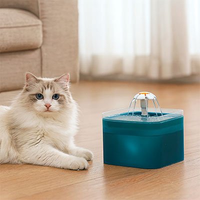 Fontaine à eau pour chat design floral ultra silencieuse turquoise