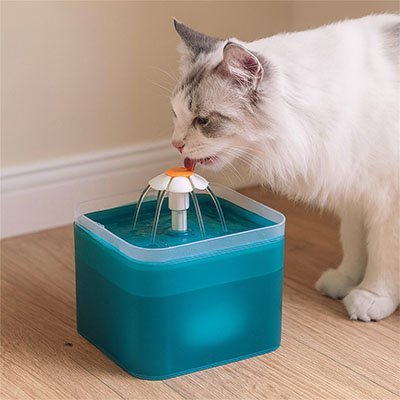 Fontaine à eau pour chat design floral ultra silencieuse turquoise