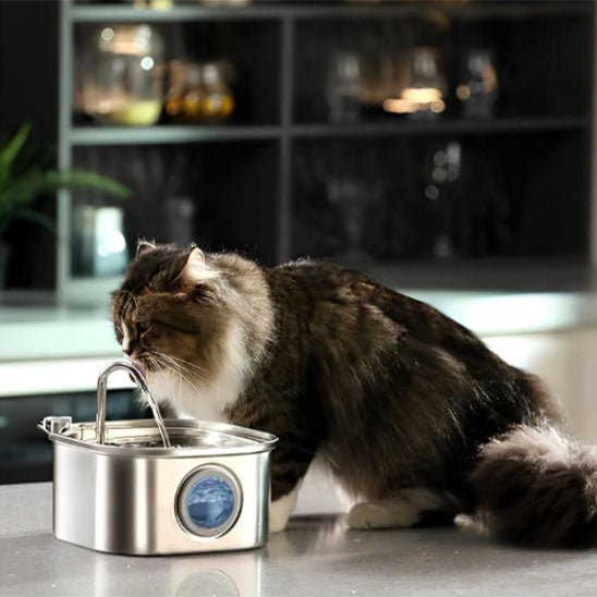 fontaine a eau pour chat acier inoxydable lumière led