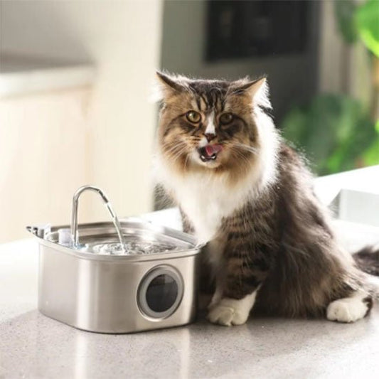 fontaine a eau pour chat acier inoxydable