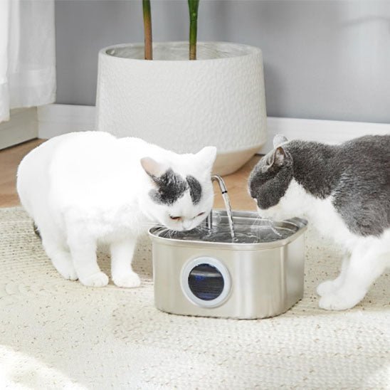 fontaine a eau pour chat acier inoxydable multichat
