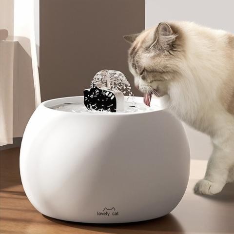 Fontaine à eau pour chat céramique silencieuse blanche avec chat en train de boire
