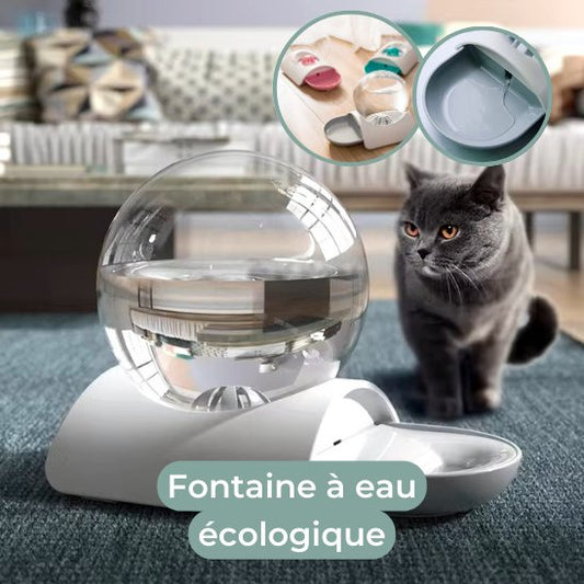 fontaine eau chat bulle