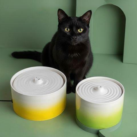 Fontaine à eau pour chat céramique Aqua Dégradé avec accès à 360 degrés