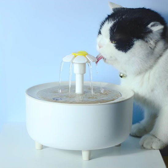 fontaine eau chat forme fleur effet bois plastique
