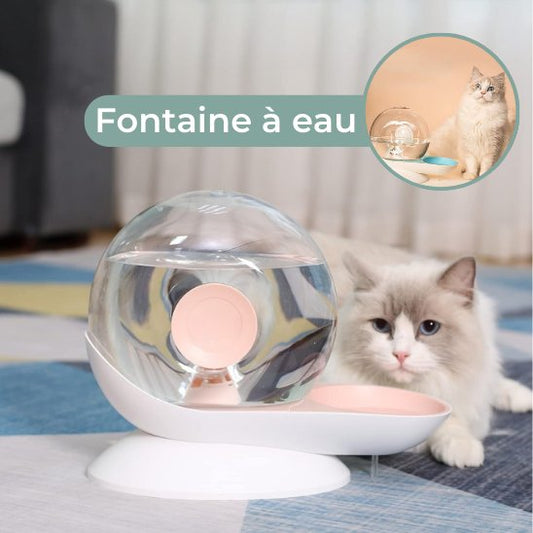 fontaine eau chat rose