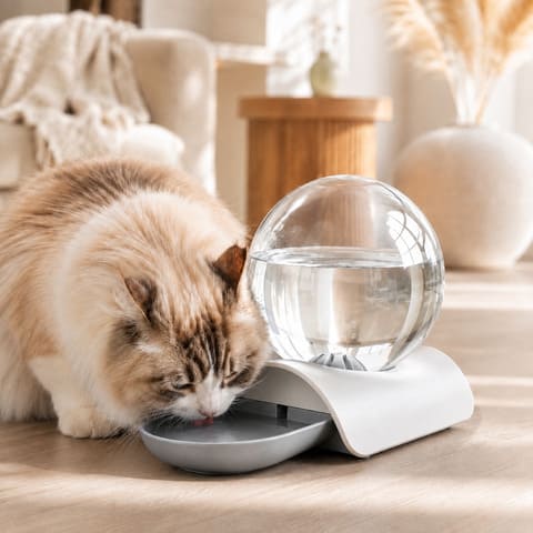 Fontaine à eau chat sans électricité gris