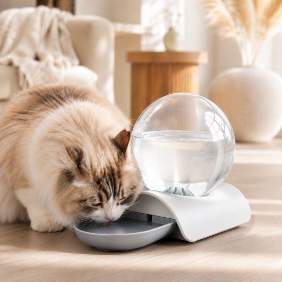 Fontaine à eau chat sans électricité gris