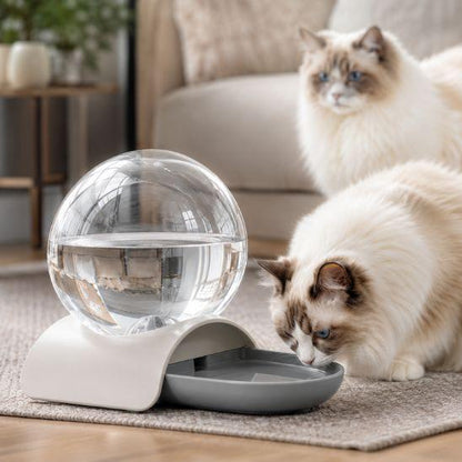 Fontaine à eau chat sans électricité gris avec deux chats