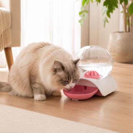 Fontaine à eau chat sans électricité rose avec chat