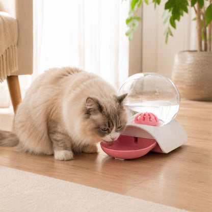 Fontaine à eau chat sans électricité rose avec chat