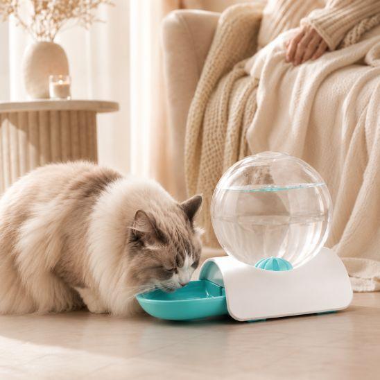 Fontaine à eau chat sans électricité turquoise