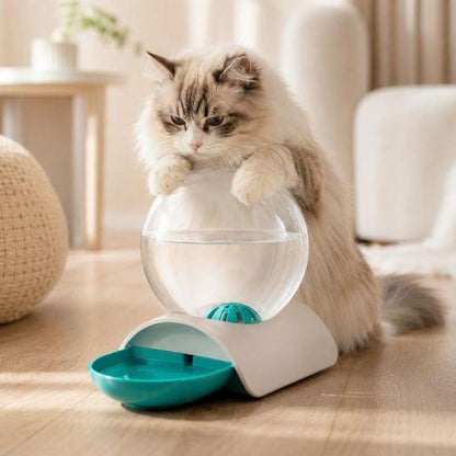 Fontaine à eau chat sans électricité turquoise avec chat