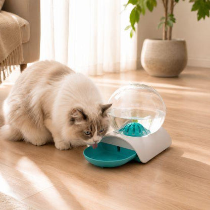 Fontaine à eau chat sans électricité turquoise avec chat