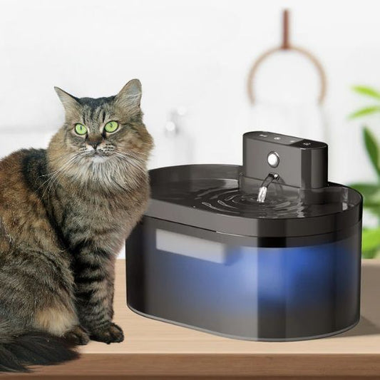 fontaine pour chat sans-fil