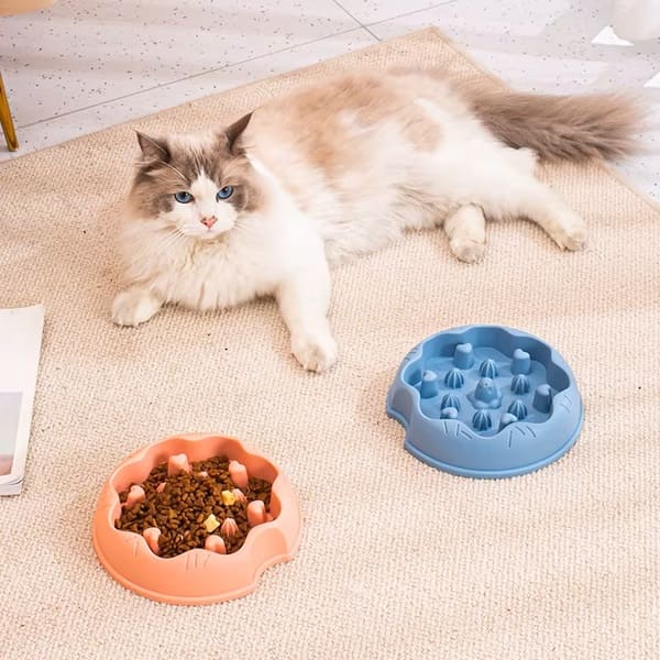 gamelle anti glouton chat alimentation lente antidérapant
