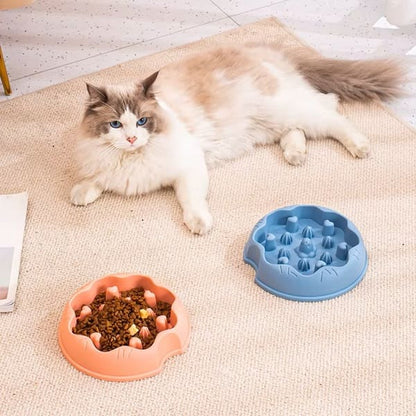 gamelle anti glouton chat alimentation lente antidérapant