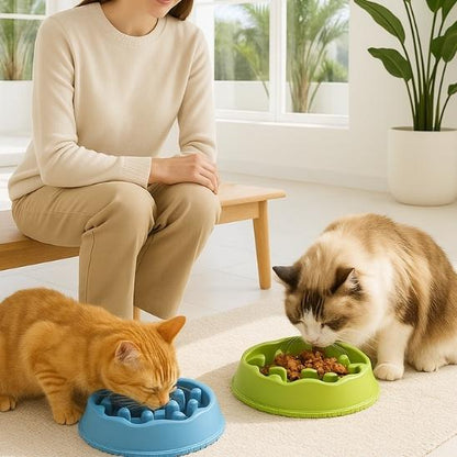 gamelle anti glouton chat alimentation lente ludique