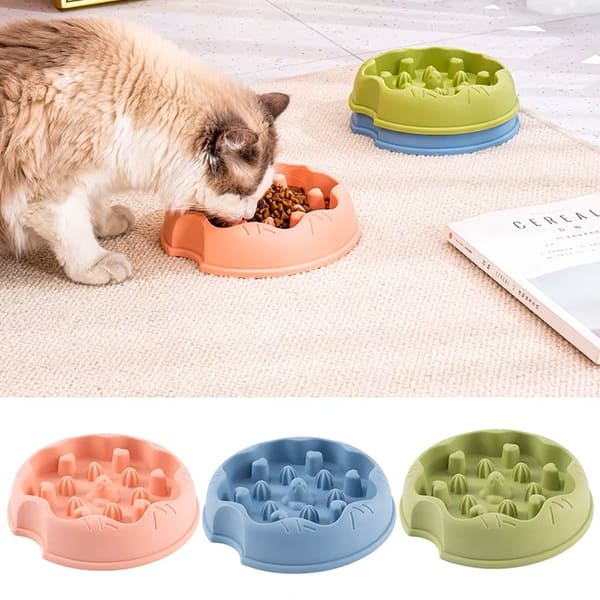 gamelle anti glouton chat alimentation lente digestion