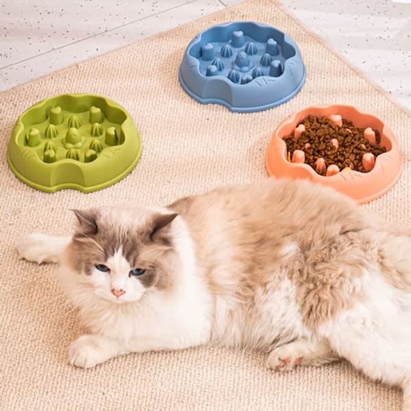 gamelle anti glouton chat alimentation lente plastique