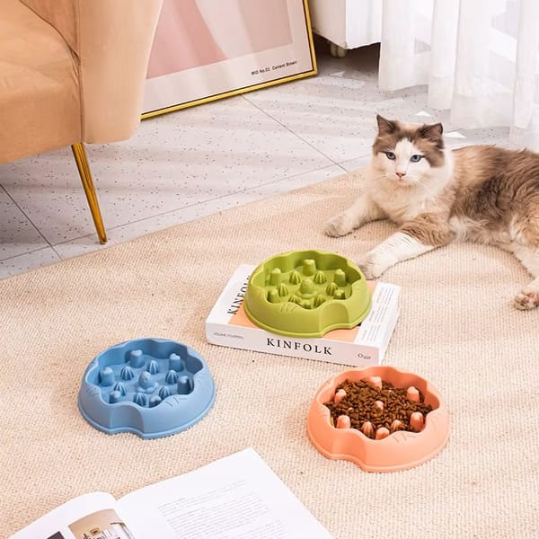 gamelle anti glouton chat alimentation lente vert rose bleu