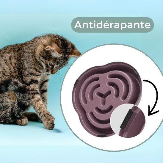 gamelle anti glouton chat antidérapante