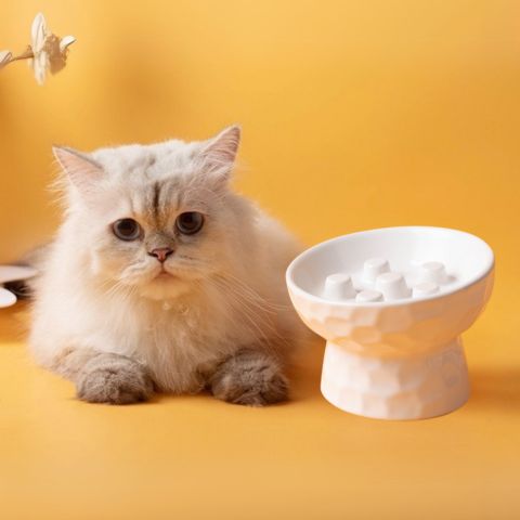 gamelle anti glouton chat surélevée inclinée céramique blanc