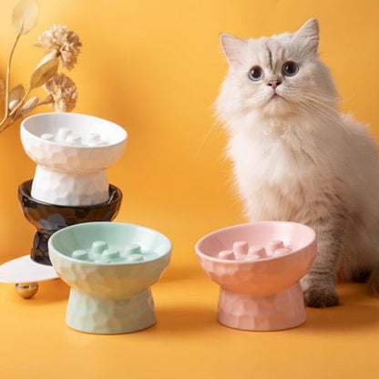 gamelle anti glouton chat surélevée inclinée céramique