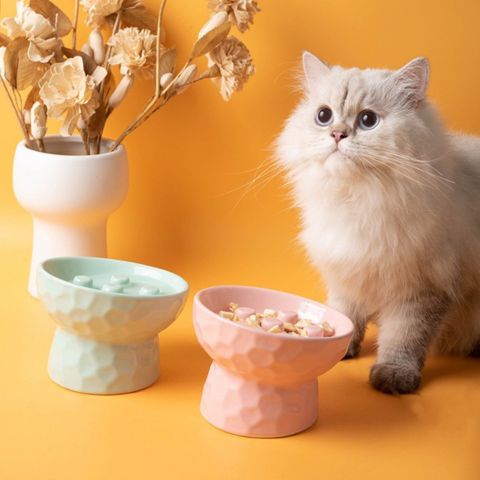 gamelle anti glouton chat surélevée inclinée céramique