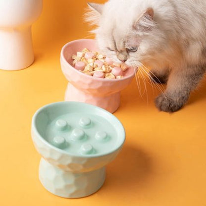 gamelle anti glouton chat surélevée inclinée céramique