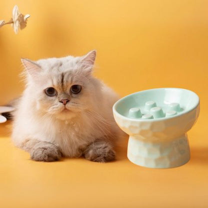 gamelle anti glouton chat surélevée inclinée céramique vert