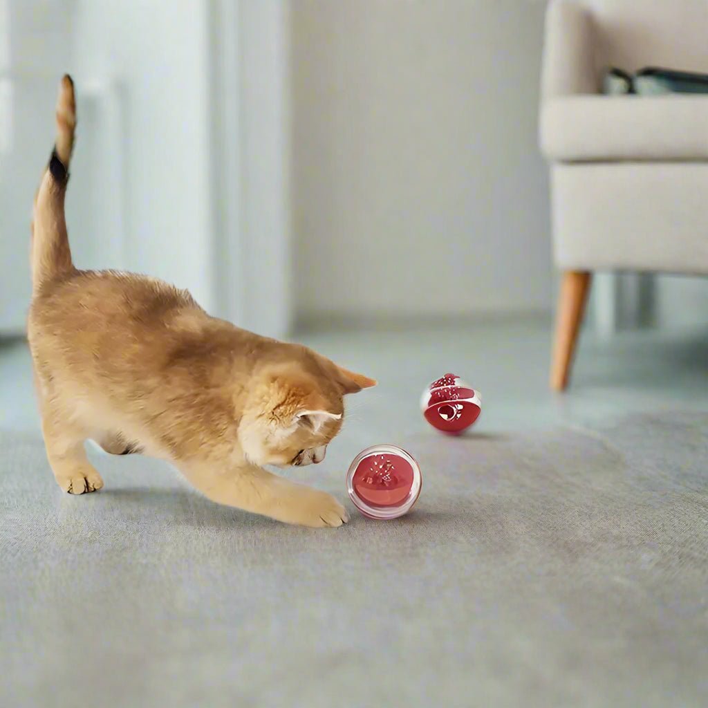 Gamelles anti glouton chat boule jouet distributeur croquettes friandises
