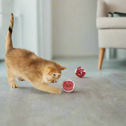 Gamelles anti glouton chat boule jouet distributeur croquettes friandises
