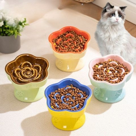 gamelle anti glouton chat surélevée céramique